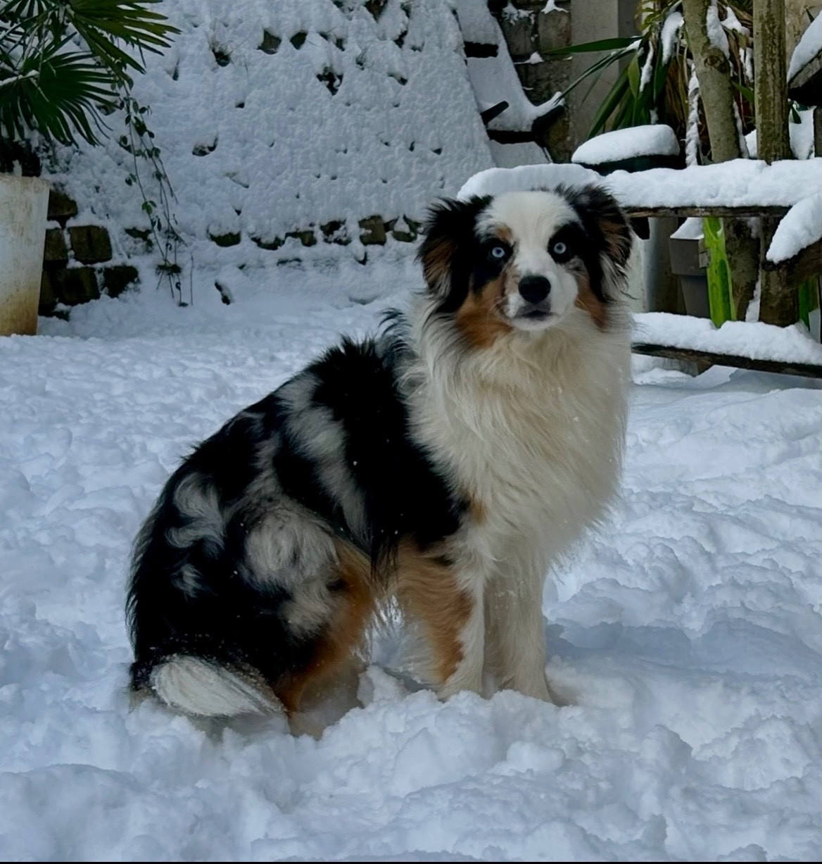 Ayven the adventurous Eyes Of Light